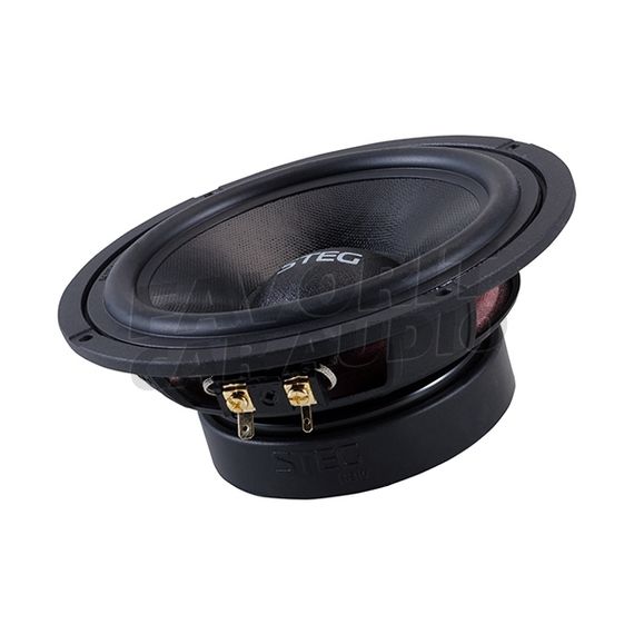 Комп. акустика STEG ST 650 C