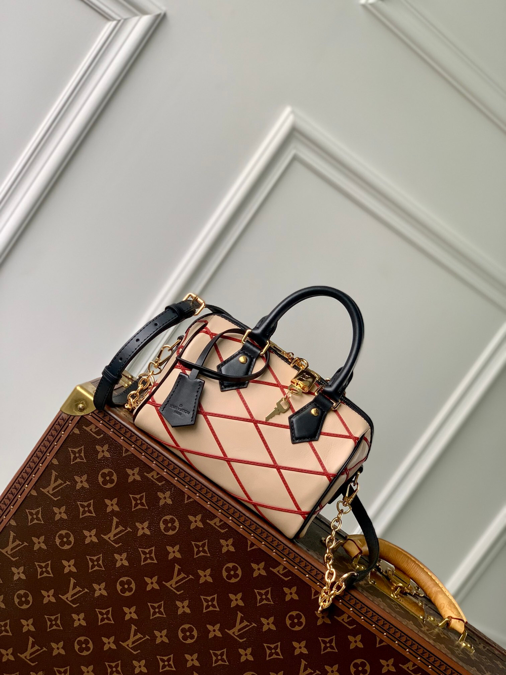 Louis Vuitton Speedy 20