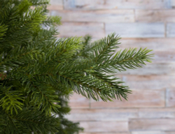 Ель 230см Black Box Датская 100% литая зеленая