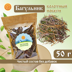 Багульник болотный побеги.