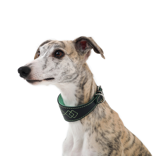 Ошейник DOGLEA LUXURY черный/мятный