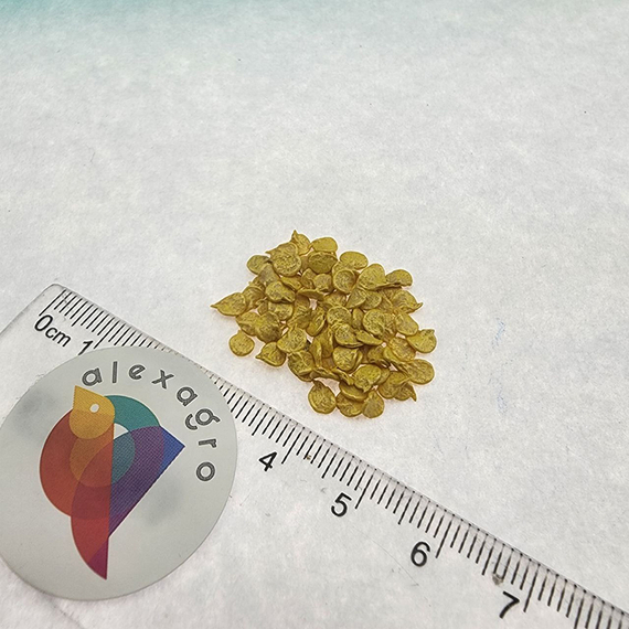 ЯНКА F1 семена перца острого Rijk Zwaan отзывы – фото 3