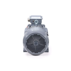 Электродвигатель ESQ PR 160 M4 GST-Б1-S12-IE2 18,5/1500 IM1001