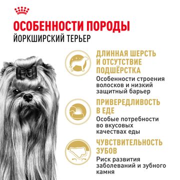 Royal Canin Yorkshire Terrier Adult для взрослых Йоркшир Терьеров