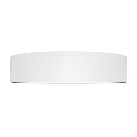 Потолочный светильник Loft it Coin 10202 WB