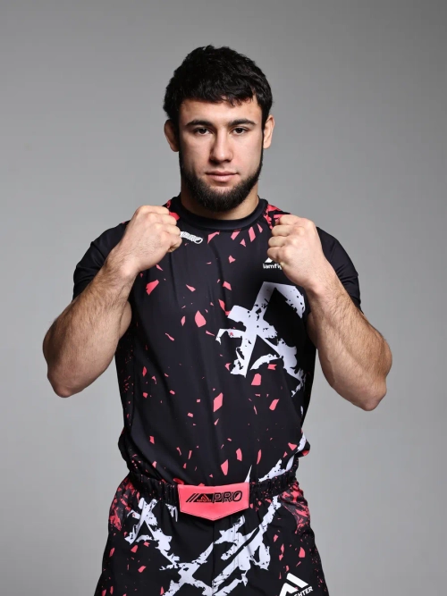 Футболка спортивная для мма и джиу джитсу