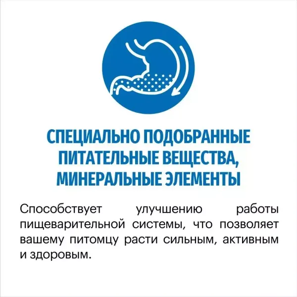 Сухой корм Karmy Maxi Adult для взрослых собак крупных пород, с телятиной