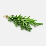 Розмарин М Свежесть 30г