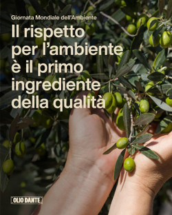 Оливковое масло DANTE 100% ITALIANO Extra Virgin 750 мл Италия