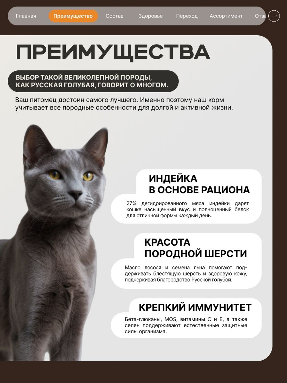 Корм сухой для кошек породы Русская голубая, с индейкой, 400 гр, QUATTRO