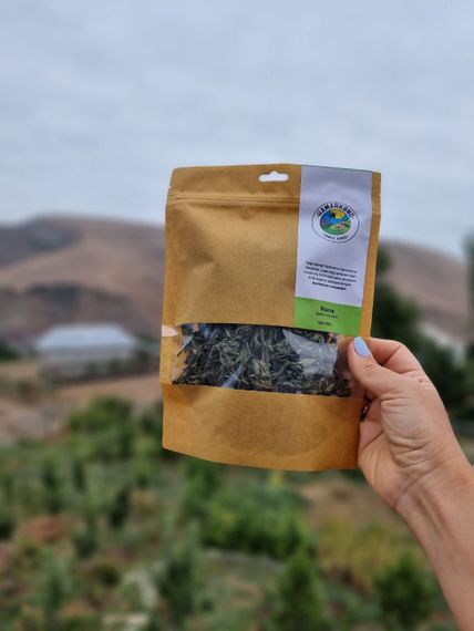 Nanə \ Мята \ Mint