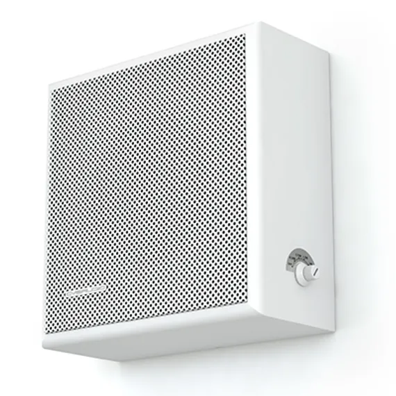 CVGAUDIO WPS6T настенная акустическая система, мощность 6W