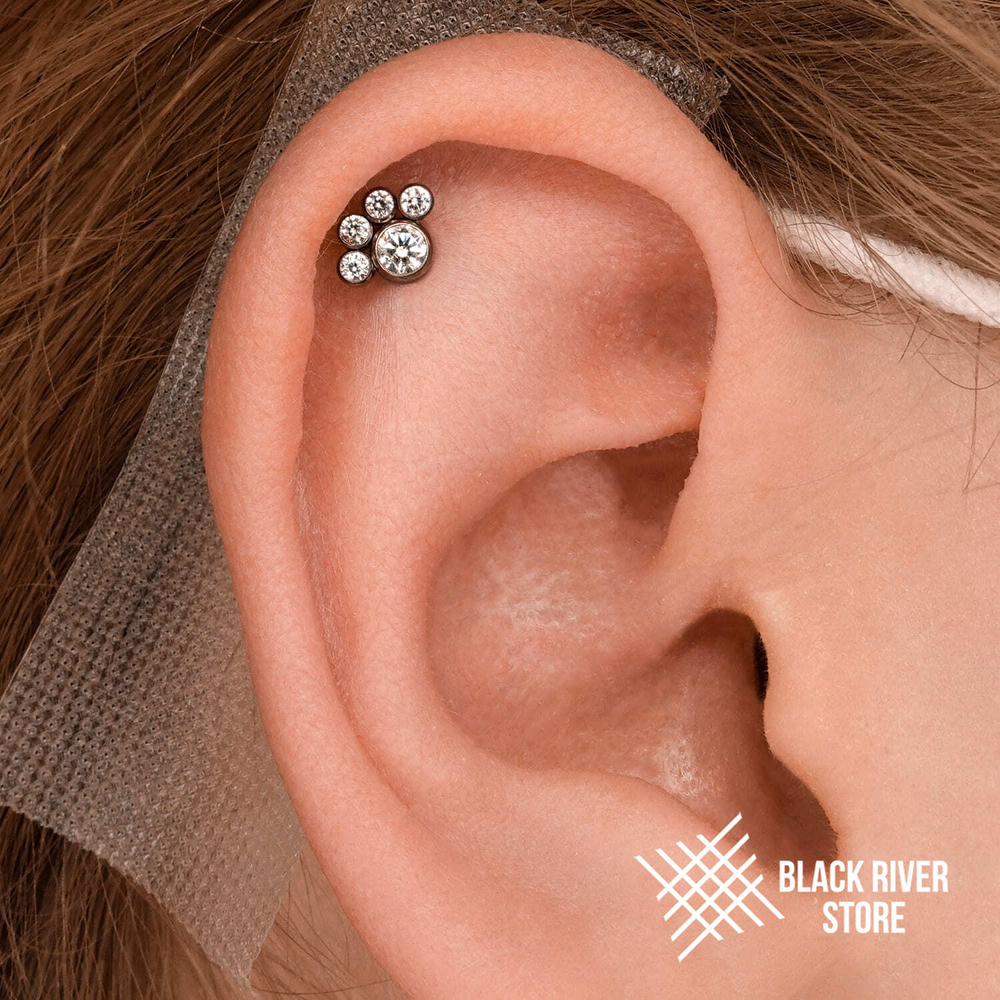 Teddy Paw IG Crystal