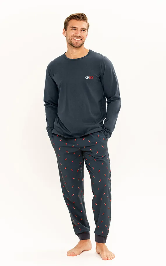 Мужская пижама 25W Eric 3312-3313-01