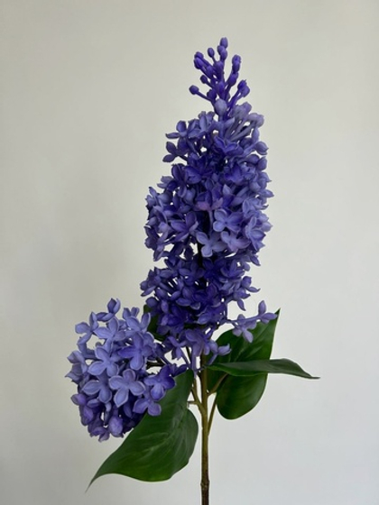 Сирень / Арт 2197