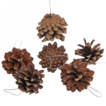 Украшение новогоднее «Шишки лесные» 5,5 см (набор 6 шт)