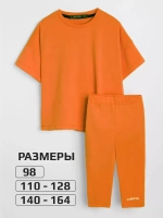 Костюм в садик для девочки футболка и бриджи