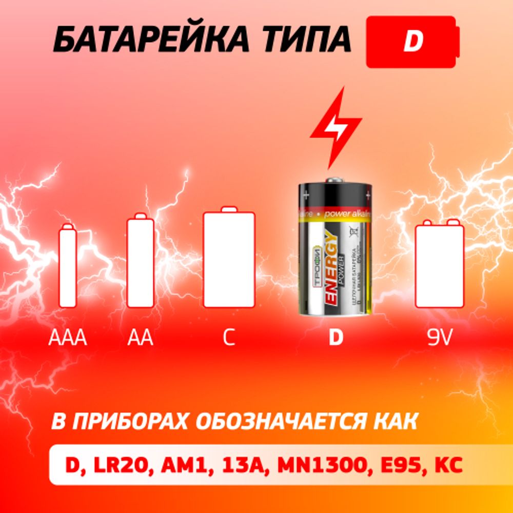 Батарейки Трофи LR20-2BL ENERGY POWER Alkaline