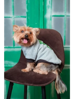 Толстовка для собак и кошек