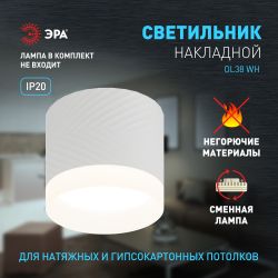Светильник настенно-потолочный спот ЭРА OL38 WH под GX53 IP20 белый | Накладные светильники