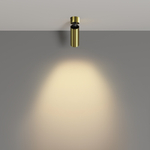 Накладной светодиодный светильник Maytoni FOCUS LED C055CL-L12W2.7K-W-BS