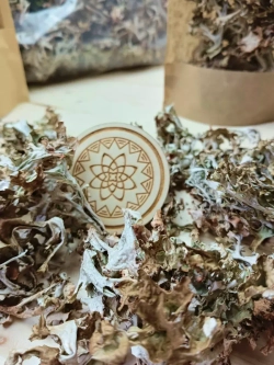 Исландский мох цетрария цельный, 200 г.