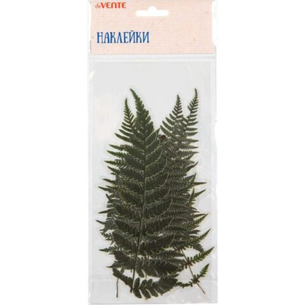 Декор наклейки для творчества "deVENTE. Гербарий. Листья Папоротника" до10x20 см, ПВХ, ассорти