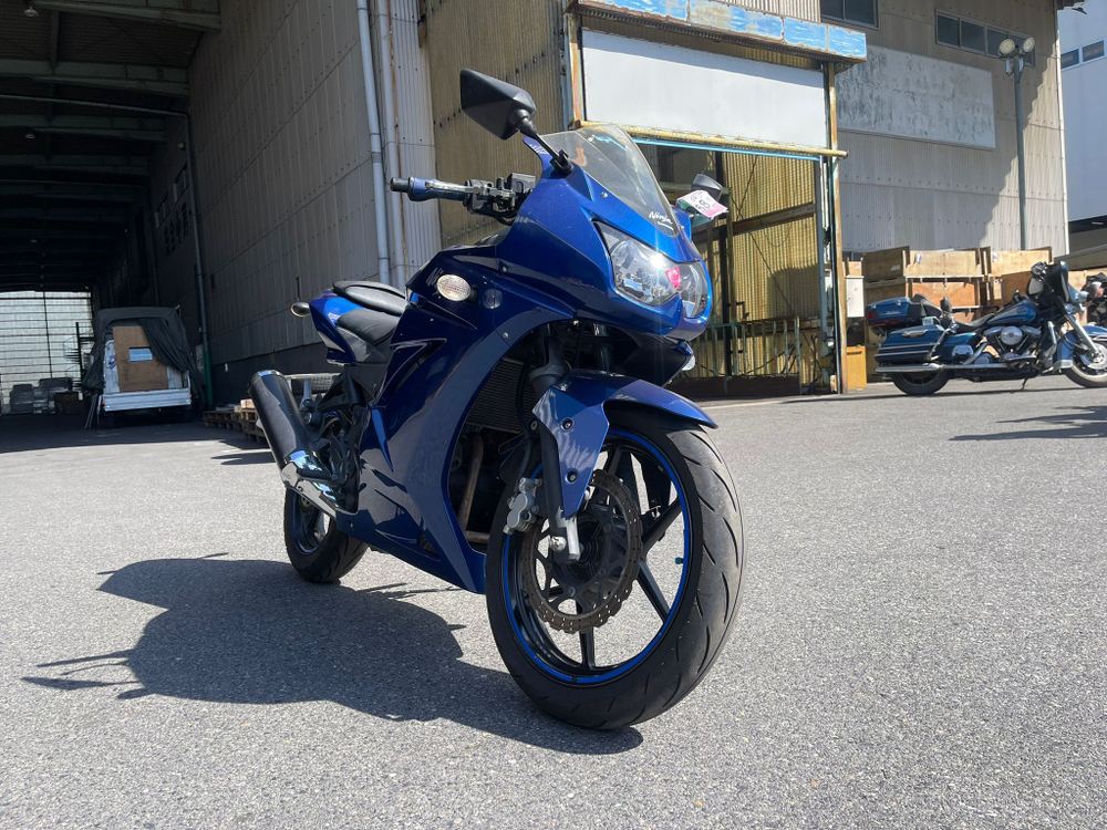 Kawasaki Ninja 250 R EX250K-A36201