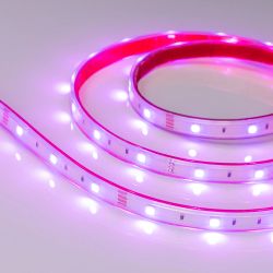 Светодиодная лента герметичная RTW-PS-B30-13mm 12V RGB (7.2 W/m, IP67, 5060, 5m) (Arlight, -) 028711
