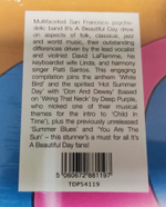 It's A Beautiful Day / Hot Summer Day (LP)