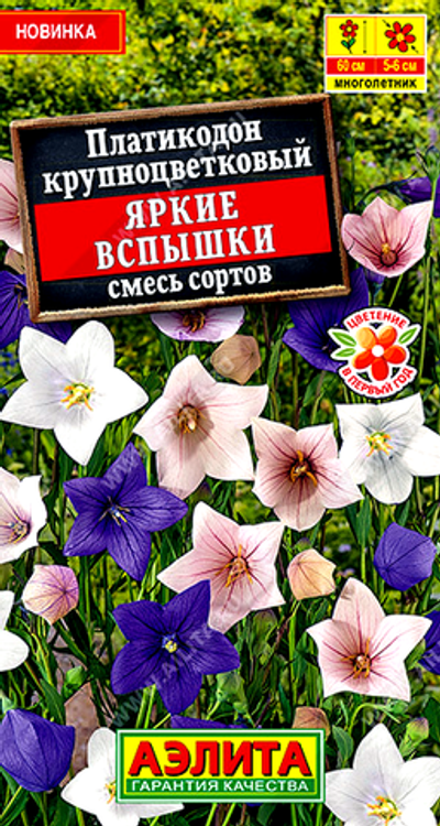 Платикодон Яркие вспышки, смесь сортов