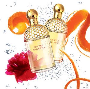 Guerlain Aqua Allegoria Orange Magnifica