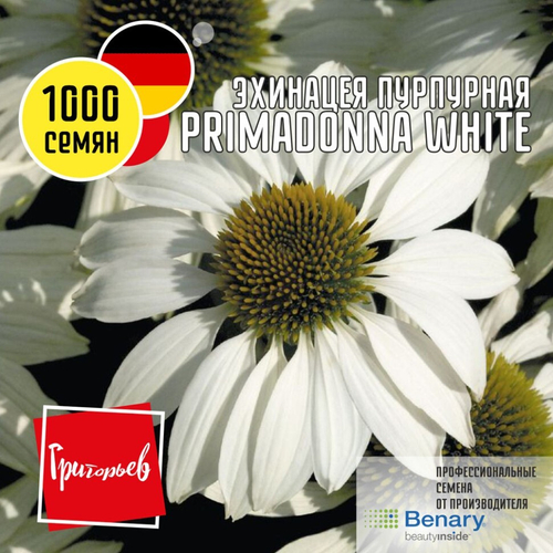 Эхинацея пурпурная Primadonna White