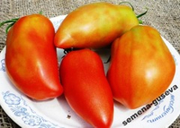 Помидоры Jersey Devil - Джерси Девил