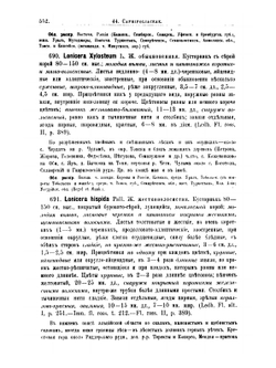 Флора Алтая и Томской губернии. Том 3. Caprifoliaceae-Gentianeae | П. Н. Крылов