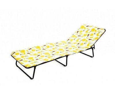 Раскладушка с матрасом Стефания с86а (120 кг, матрас 1 см)