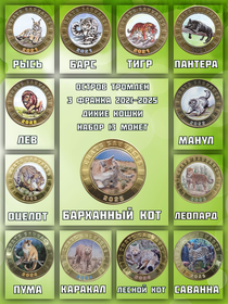 Новинки