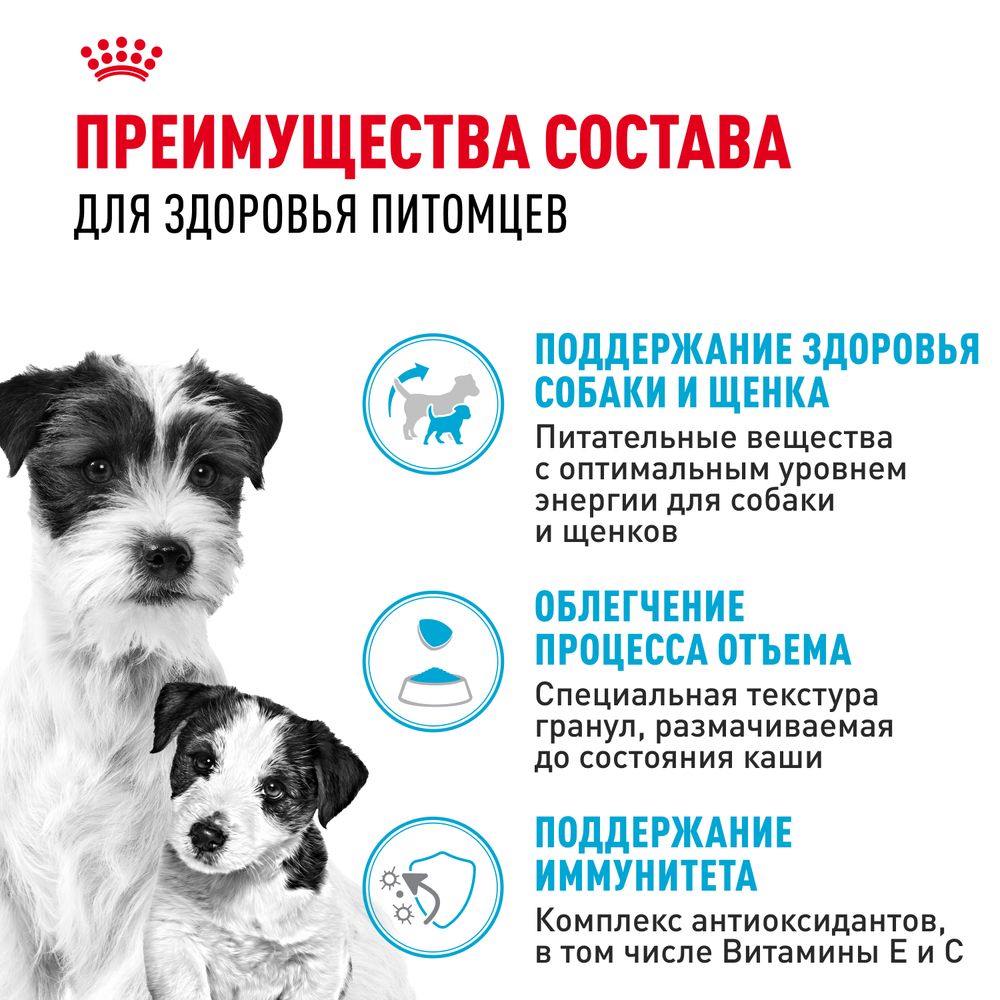 Сухой корм Royal Canin Mini Starter для щенков мелких размеров до 2-х месяцев, беременных и кормящих сук Сухой корм Royal Canin Mini Starter для щенков мелких размеров до 2-х месяцев, беременных и кормящих сук
