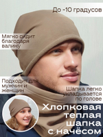 Шапка ДЖЕК хлопковая утепленная с валиком