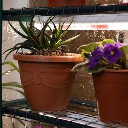 Теплица GREEN APPLE GA-House-4 со светильниками в комплекте 4 яруса 1250х690х300 мм