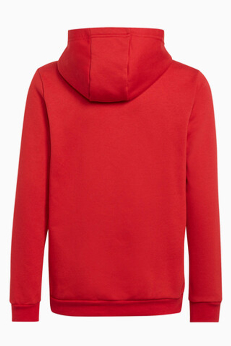 Кофта adidas Entrada 22 Junior