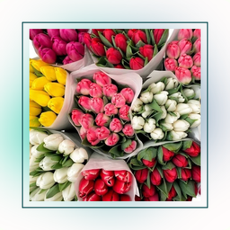 Цветы ОПТОМ