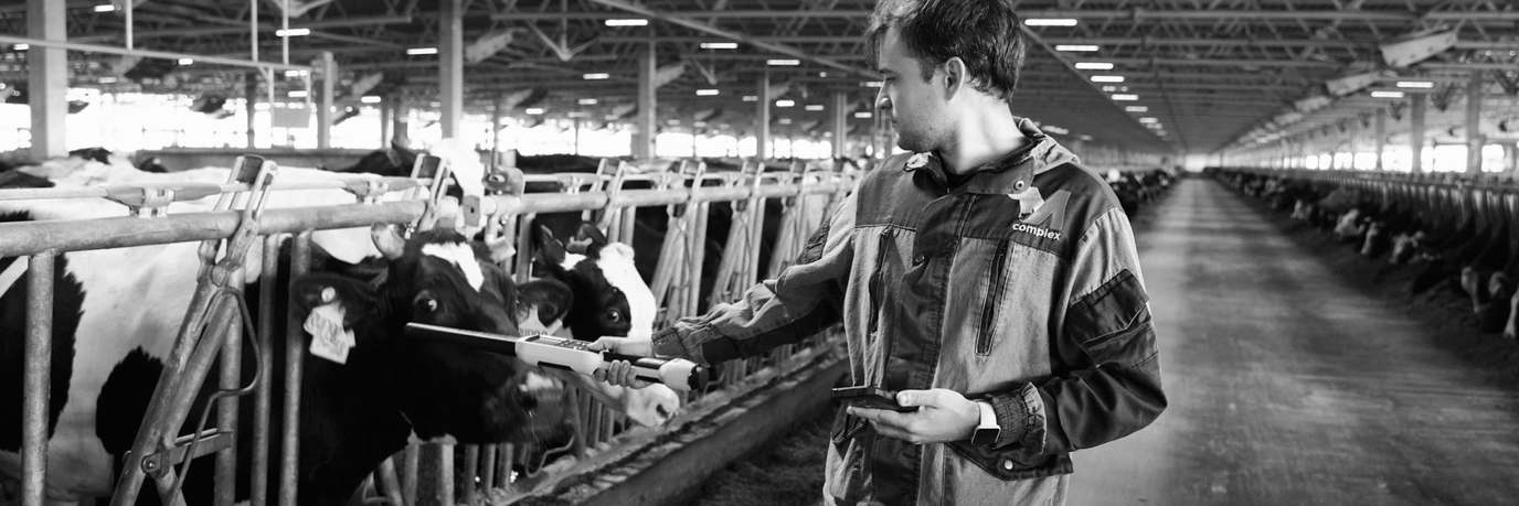 КОНСУЛЬТАЦИИ