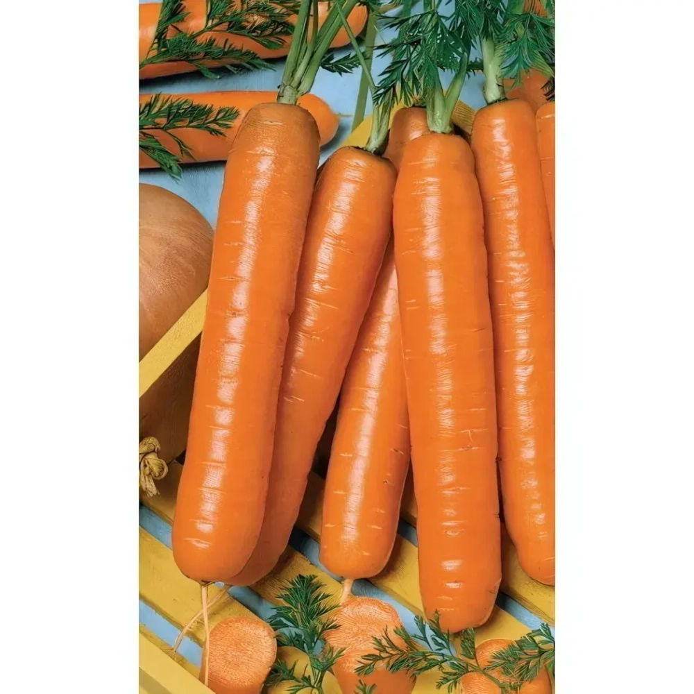 Семена Морковь Витаминная 6 (Марс) Б/П