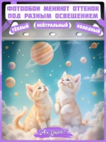 3D Фотообои котики в космосе