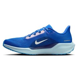 Кроссовки для бега мужские Nike Pegasus 41 M Синий и Белый