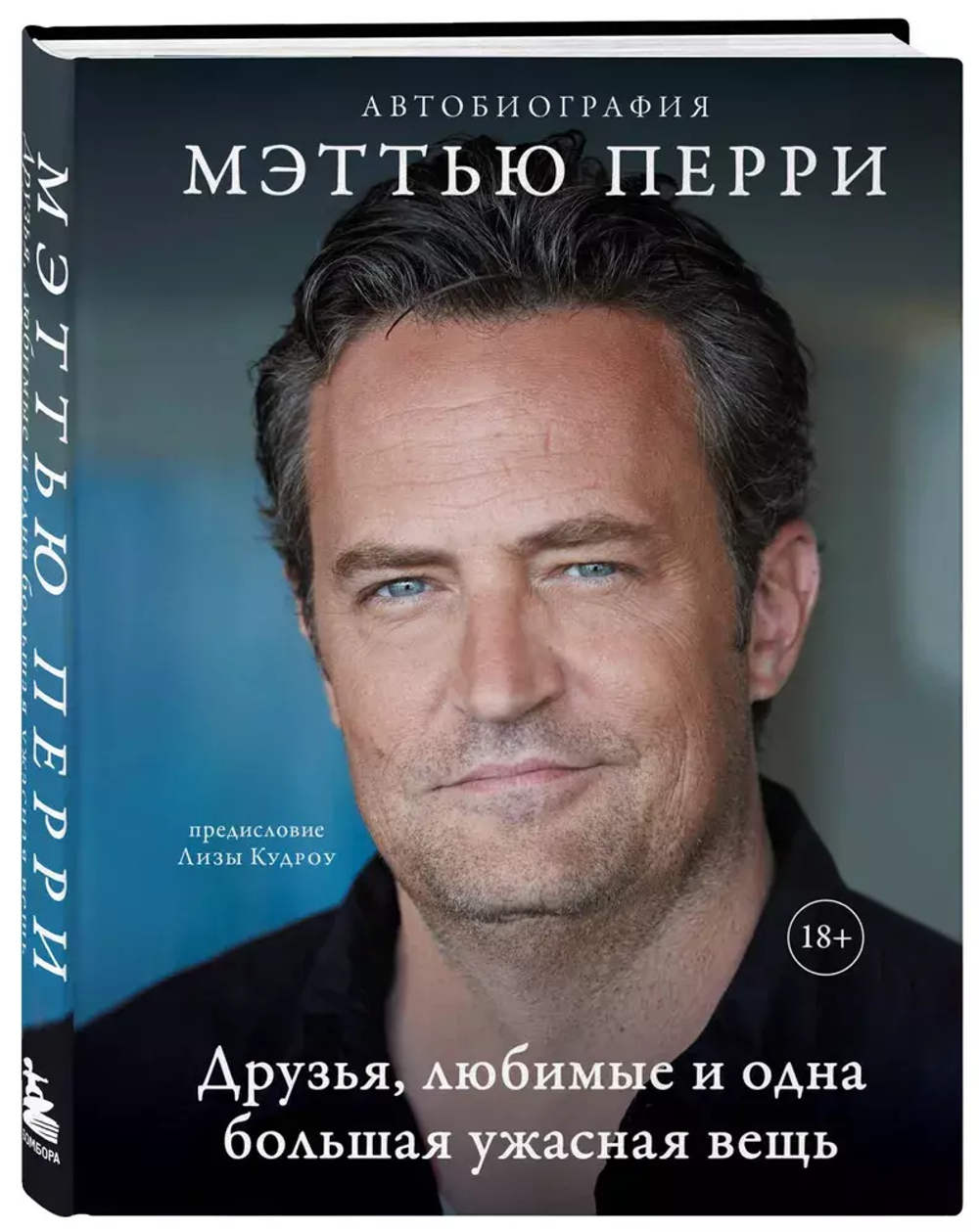 ДРУЗЬЯ, ЛЮБИМЫЕ И ОДНА БОЛЬШАЯ УЖАСНАЯ ВЕЩЬ. Автобиография Мэттью Перри