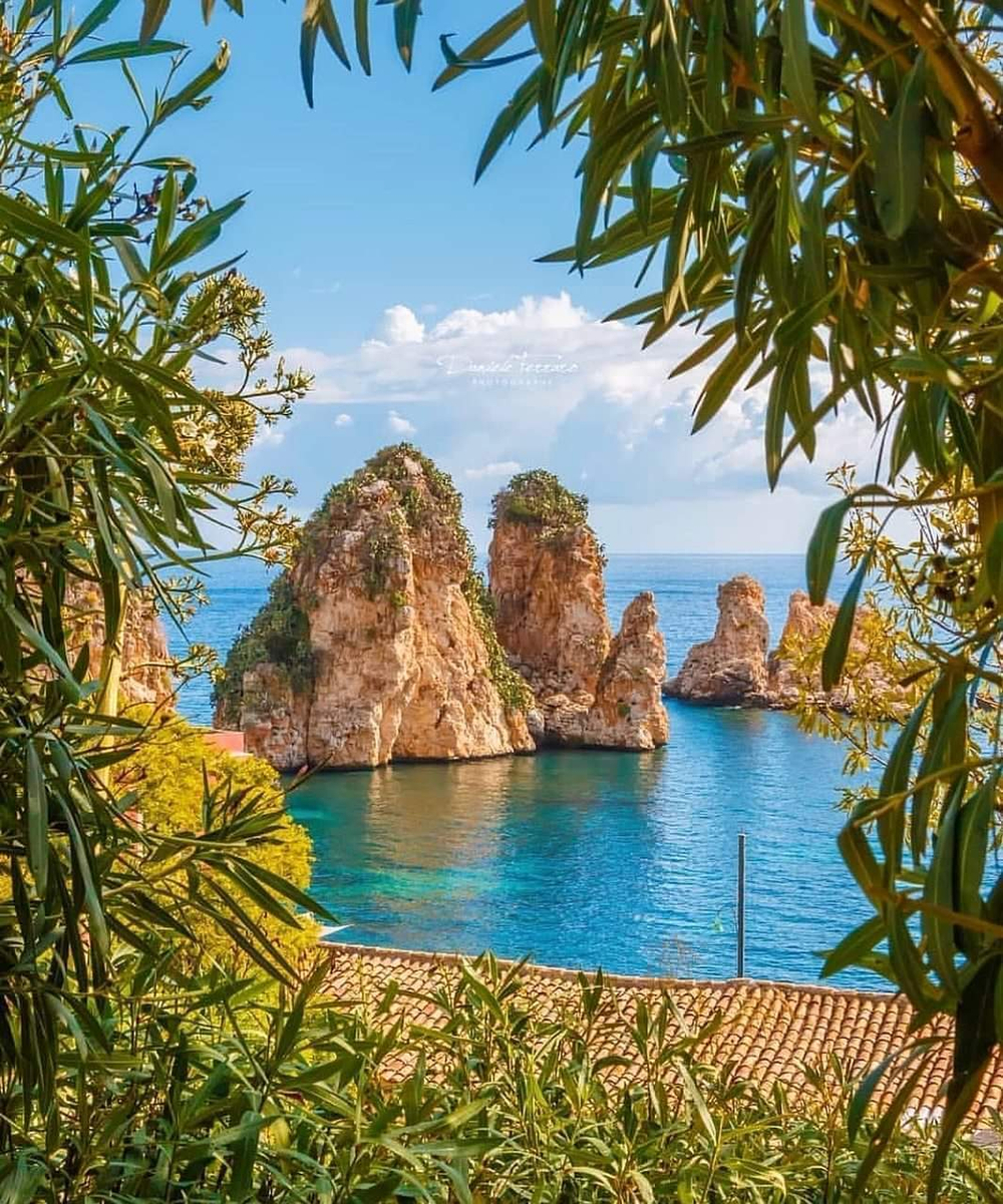 Оливковое масло BONO Valle del Belice D.O.P. 500ml Сицилия