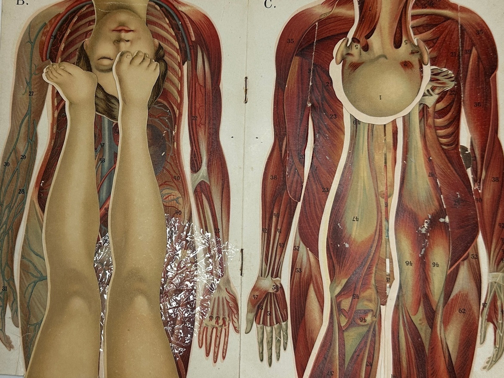 Платен М. Новый способ лечения. Лечение целебными силами природы. — Берлин: Изд. Просвещение, 1901