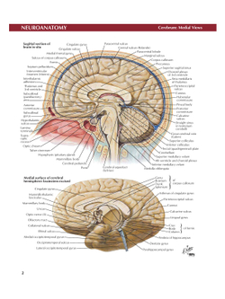 Atlas of Neuroanatomy and Neurophysiology | John T. Hansen